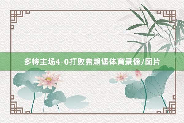 多特主场4-0打败弗赖堡体育录像/图片
