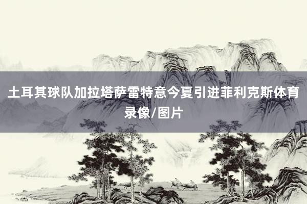 土耳其球队加拉塔萨雷特意今夏引进菲利克斯体育录像/图片
