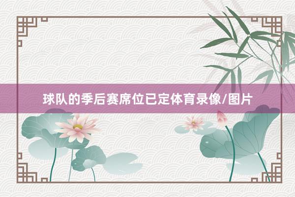 球队的季后赛席位已定体育录像/图片