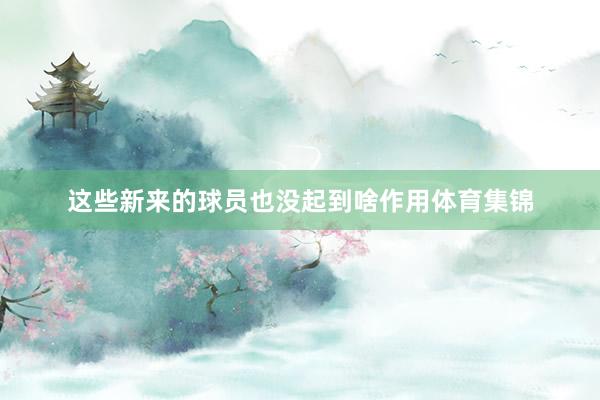 这些新来的球员也没起到啥作用体育集锦