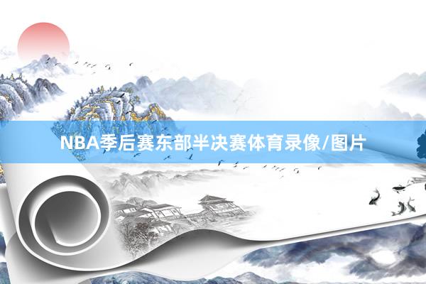 NBA季后赛东部半决赛体育录像/图片