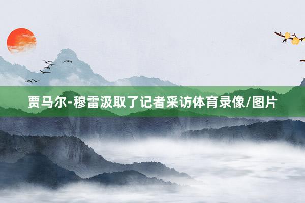 贾马尔-穆雷汲取了记者采访体育录像/图片