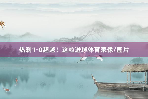 热刺1-0超越！这粒进球体育录像/图片