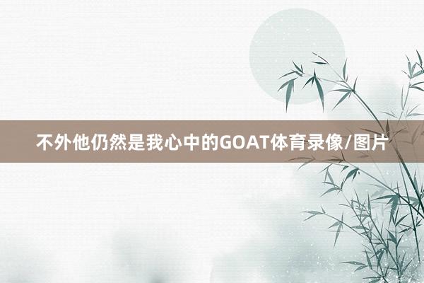 不外他仍然是我心中的GOAT体育录像/图片