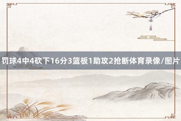 罚球4中4砍下16分3篮板1助攻2抢断体育录像/图片