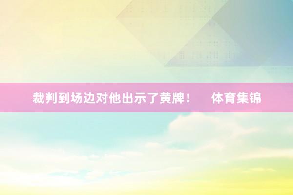 裁判到场边对他出示了黄牌！    体育集锦