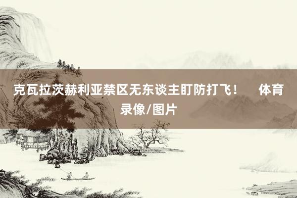 克瓦拉茨赫利亚禁区无东谈主盯防打飞！    体育录像/图片