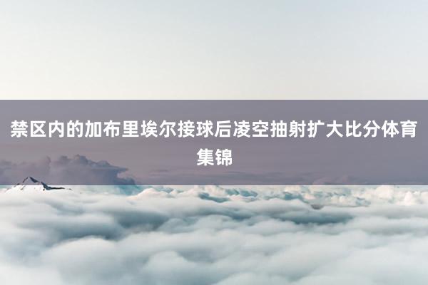 禁区内的加布里埃尔接球后凌空抽射扩大比分体育集锦
