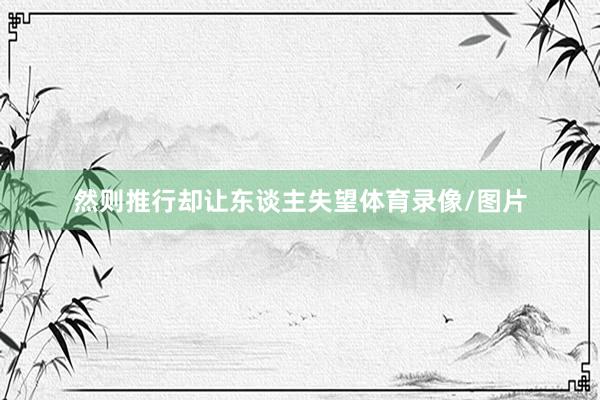 然则推行却让东谈主失望体育录像/图片