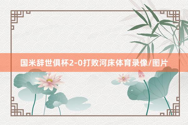国米辞世俱杯2-0打败河床体育录像/图片