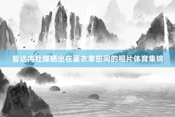 皆达内社媒晒出在薰衣草田间的相片体育集锦