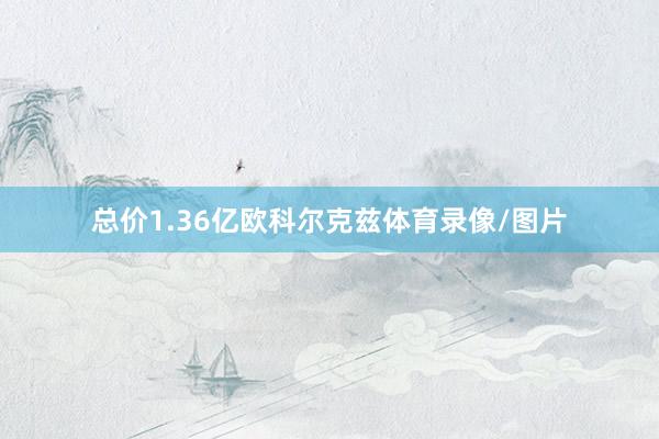 总价1.36亿欧科尔克兹体育录像/图片