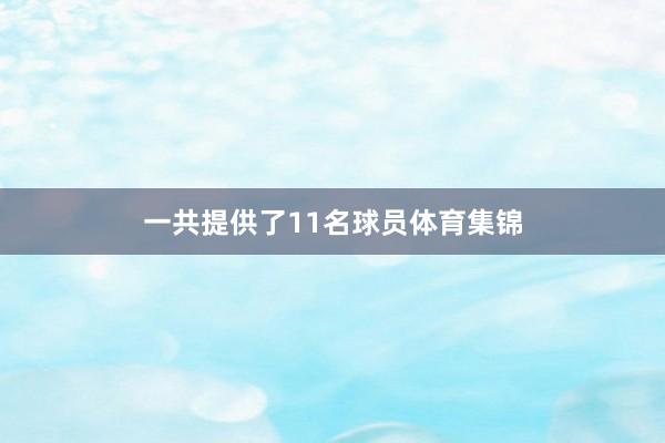 一共提供了11名球员体育集锦