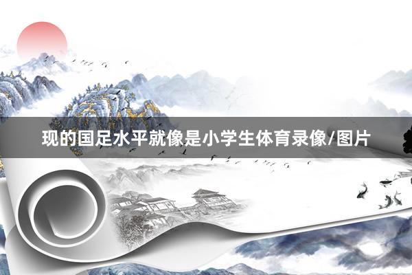 现的国足水平就像是小学生体育录像/图片