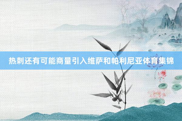 热刺还有可能商量引入维萨和帕利尼亚体育集锦