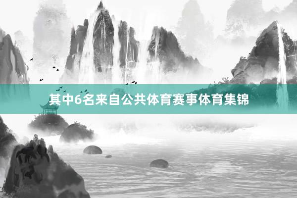 其中6名来自公共体育赛事体育集锦