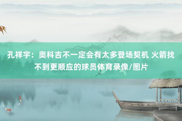 孔祥宇：奥科吉不一定会有太多登场契机 火箭找不到更顺应的球员体育录像/图片