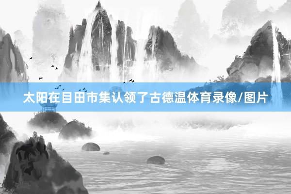 太阳在目田市集认领了古德温体育录像/图片