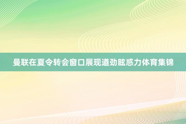 曼联在夏令转会窗口展现遒劲眩惑力体育集锦