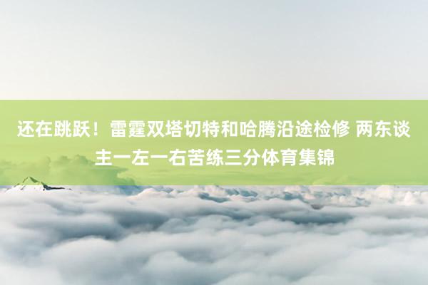 还在跳跃！雷霆双塔切特和哈腾沿途检修 两东谈主一左一右苦练三分体育集锦