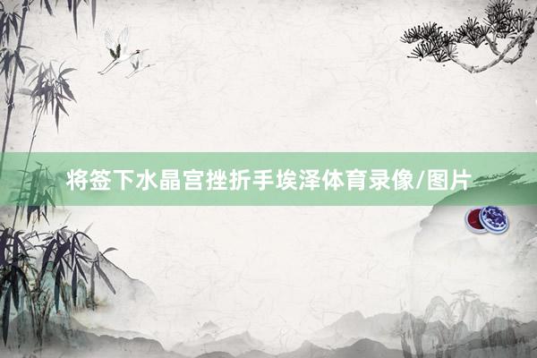 将签下水晶宫挫折手埃泽体育录像/图片