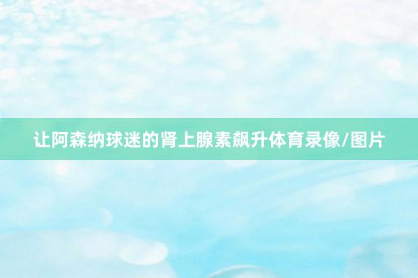 让阿森纳球迷的肾上腺素飙升体育录像/图片