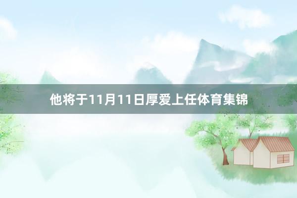 他将于11月11日厚爱上任体育集锦