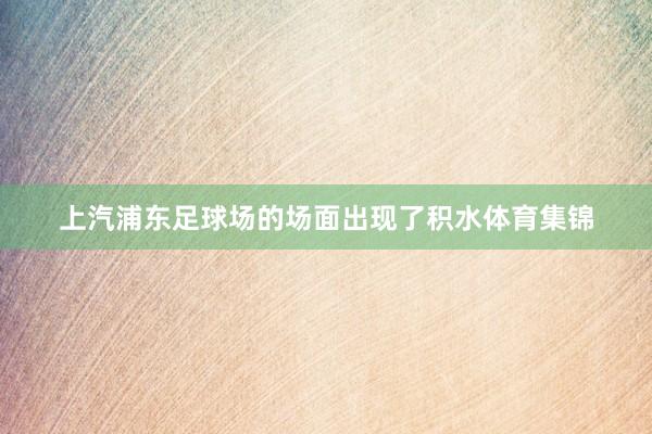 上汽浦东足球场的场面出现了积水体育集锦