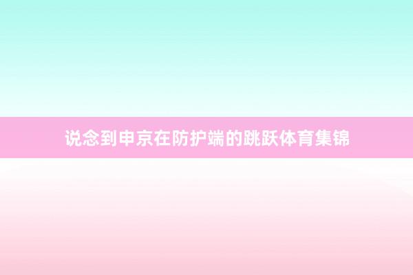说念到申京在防护端的跳跃体育集锦
