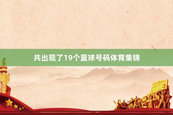 共出现了19个蓝球号码体育集锦