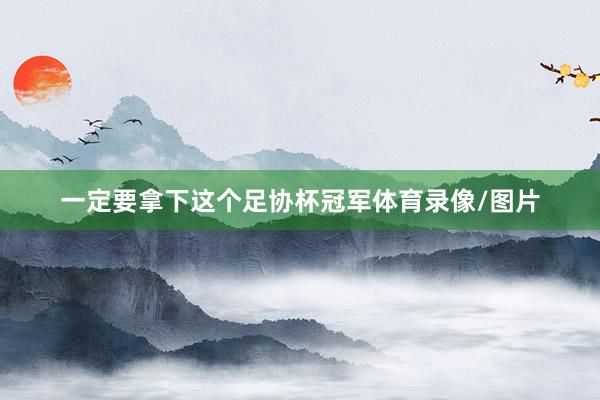 一定要拿下这个足协杯冠军体育录像/图片