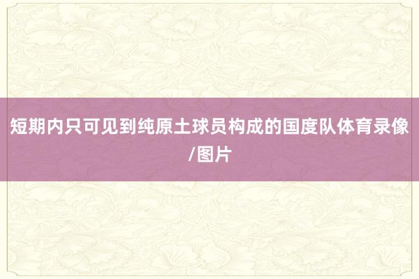 短期内只可见到纯原土球员构成的国度队体育录像/图片