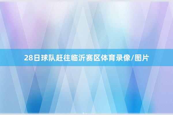 28日球队赶往临沂赛区体育录像/图片