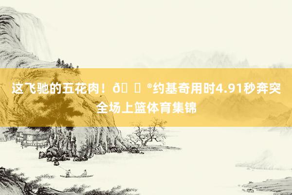 这飞驰的五花肉！😮约基奇用时4.91秒奔突全场上篮体育集锦
