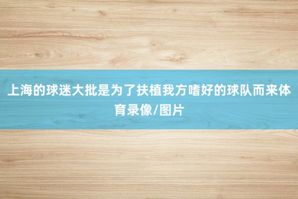 上海的球迷大批是为了扶植我方嗜好的球队而来体育录像/图片