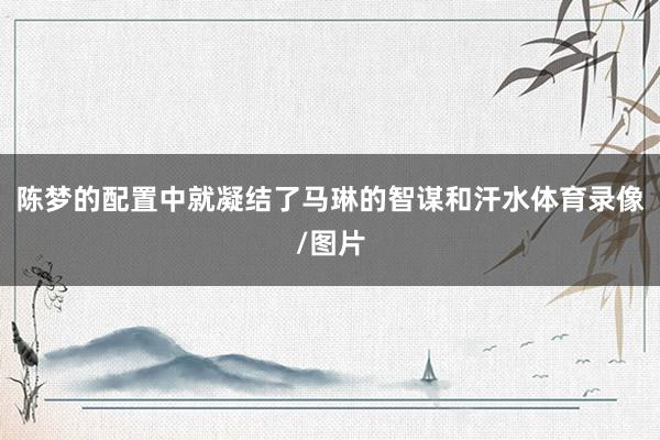 陈梦的配置中就凝结了马琳的智谋和汗水体育录像/图片