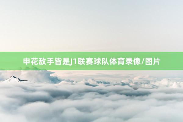 申花敌手皆是J1联赛球队体育录像/图片
