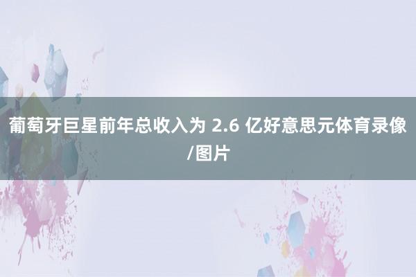 葡萄牙巨星前年总收入为 2.6 亿好意思元体育录像/图片