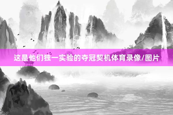 这是他们独一实验的夺冠契机体育录像/图片