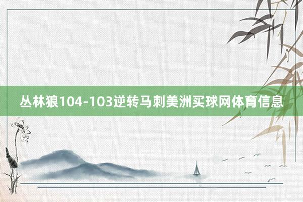 丛林狼104-103逆转马刺美洲买球网体育信息