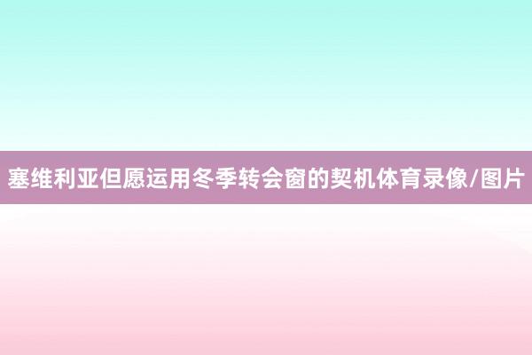塞维利亚但愿运用冬季转会窗的契机体育录像/图片