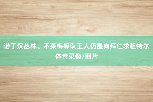诺丁汉丛林、不莱梅等队王人仍是向拜仁求租特尔体育录像/图片