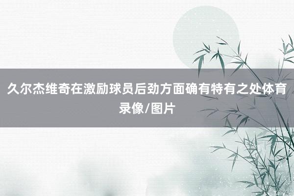 久尔杰维奇在激励球员后劲方面确有特有之处体育录像/图片