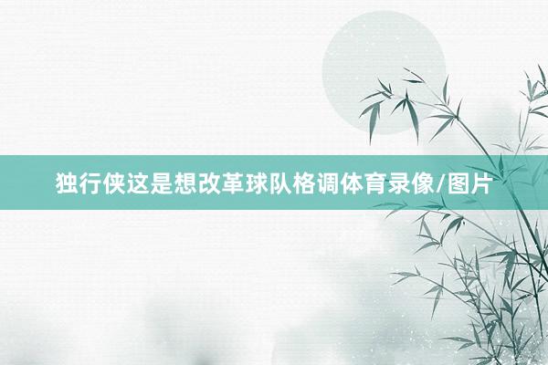 独行侠这是想改革球队格调体育录像/图片