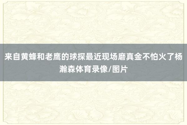 来自黄蜂和老鹰的球探最近现场磨真金不怕火了杨瀚森体育录像/图片
