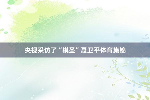 央视采访了“棋圣”聂卫平体育集锦