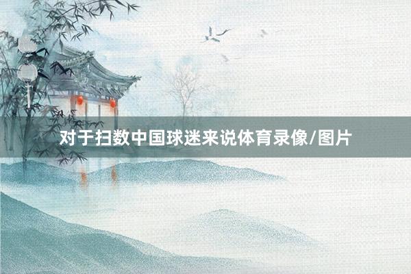 对于扫数中国球迷来说体育录像/图片