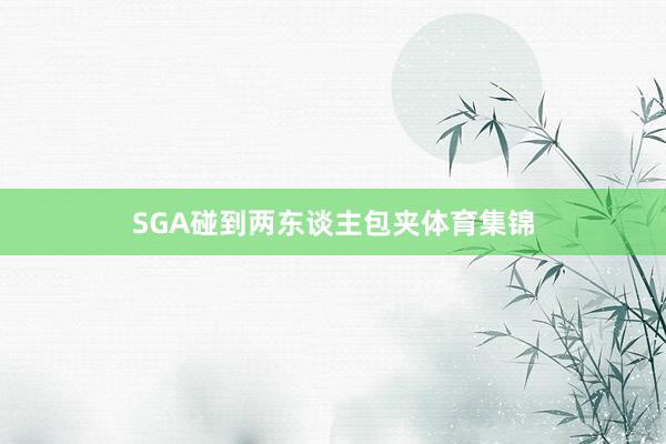 SGA碰到两东谈主包夹体育集锦