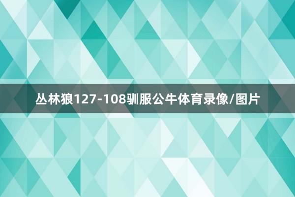 丛林狼127-108驯服公牛体育录像/图片