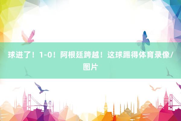 球进了！1-0！阿根廷跨越！这球踢得体育录像/图片